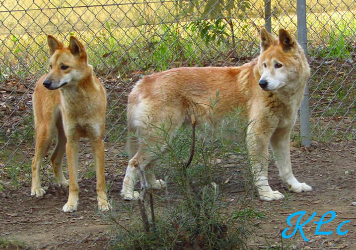 Tarka and Baralga - June 2019