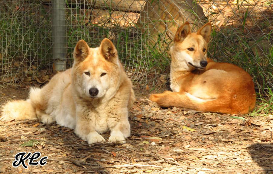 Tarka and Baralga June 2019