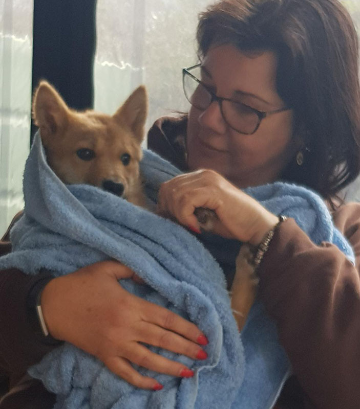 Tarka getting used to being cuddled