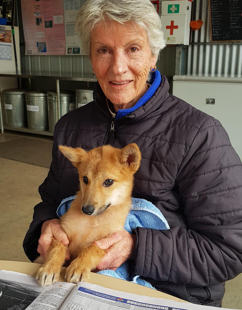 Tarka with Luci