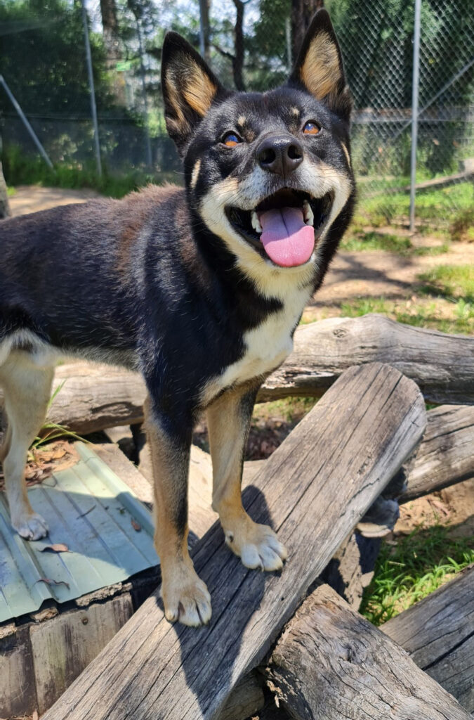 Always happy!